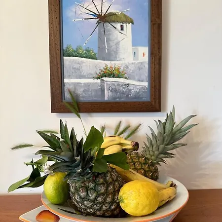 Casa Ivi Monastiraki (Phocis)
